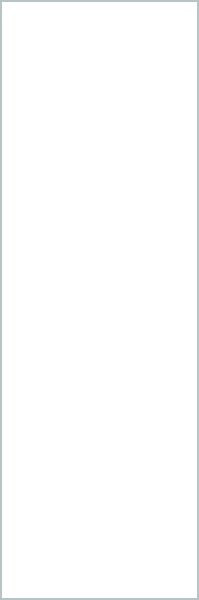 Solo Bianco 100х300 5 (LAMF009819) 100х300 Керамическая плитка